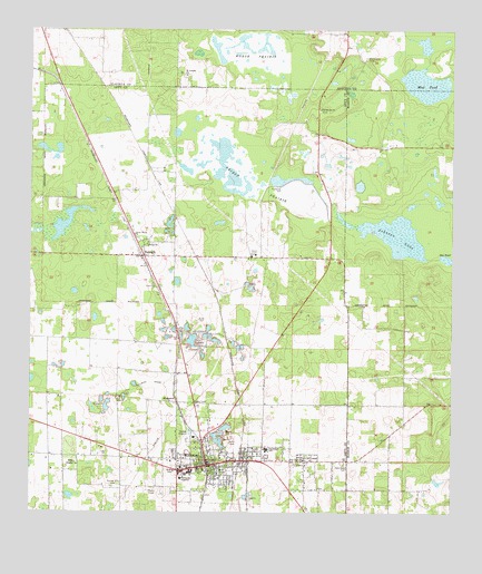 Williston, FL USGS Topographic Map