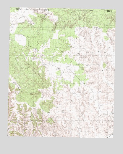 Willow Arroyo, TX USGS Topographic Map