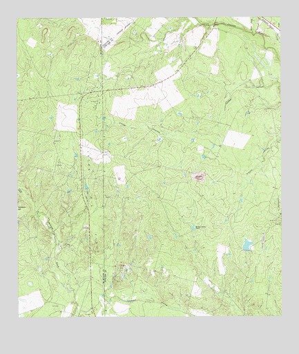 Willow Hollow Tank, TX USGS Topographic Map