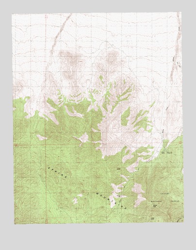 Willow Peak, NV USGS Topographic Map