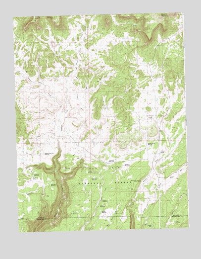 Willow Spring, CO USGS Topographic Map