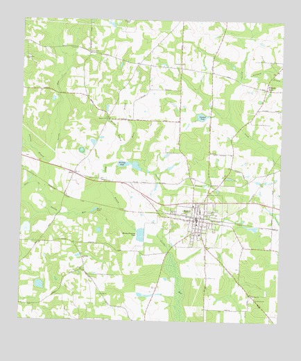 Boston, GA USGS Topographic Map