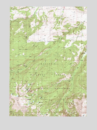 Willow Swamp, MT USGS Topographic Map