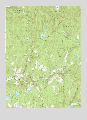 Willowemoc, NY USGS Topographic Map