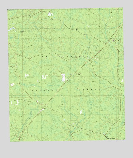 Wilma, FL USGS Topographic Map