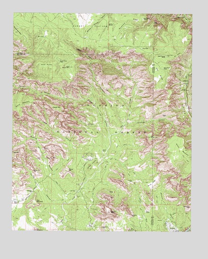Wilson Mountain, AZ USGS Topographic Map
