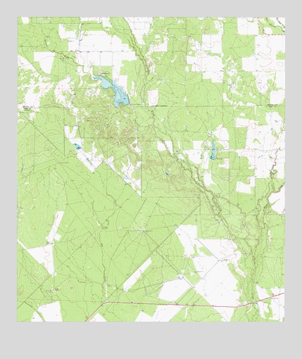 Wilson Ranch, TX USGS Topographic Map