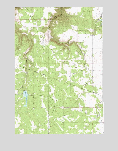 Winchester West, ID USGS Topographic Map