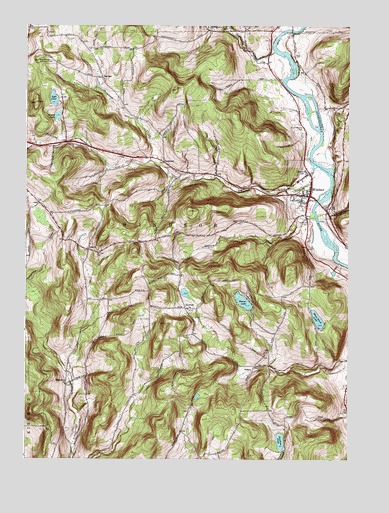 Windsor, NY USGS Topographic Map