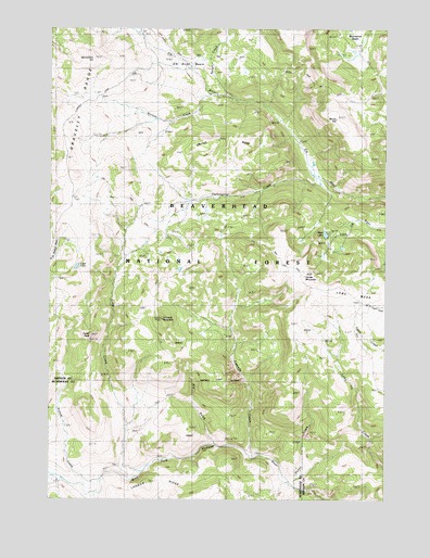 Windy Hill, MT USGS Topographic Map