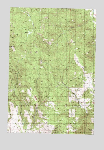 Windy Rock, MT USGS Topographic Map