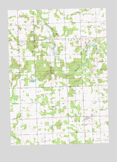 Winn, MI USGS Topographic Map