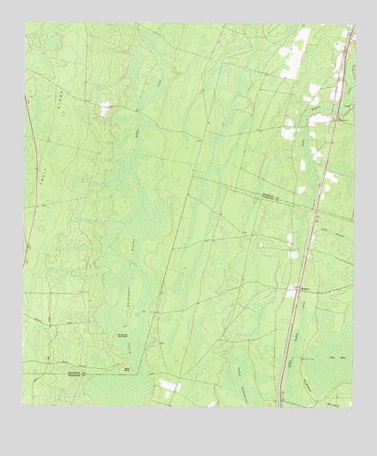 Winokur, GA USGS Topographic Map