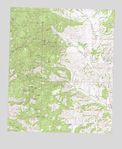 Winston, NM USGS Topographic Map