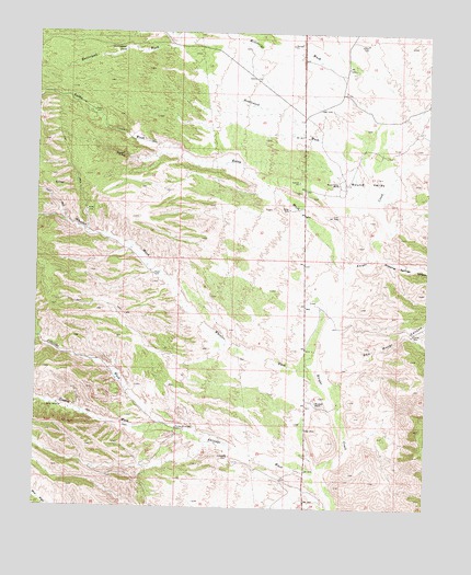 Bottleneck Wash, AZ USGS Topographic Map