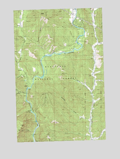 Winton, WA USGS Topographic Map