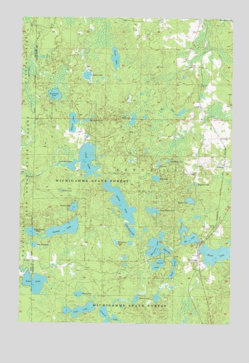 Witch Lake, MI USGS Topographic Map