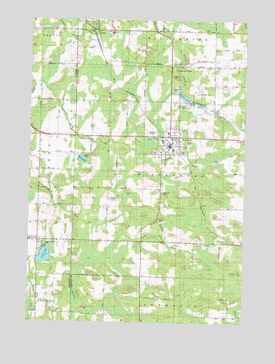 Wittenberg, WI USGS Topographic Map