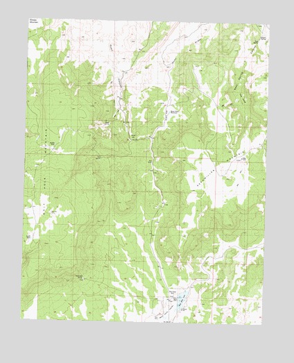 Wolf Hole Mountain East, AZ USGS Topographic Map