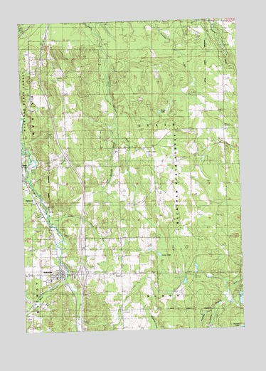 Wolverine, MI USGS Topographic Map