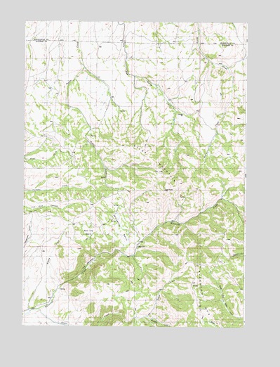 Wolverine, ID USGS Topographic Map