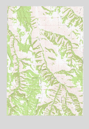 Wood Butte, OR USGS Topographic Map