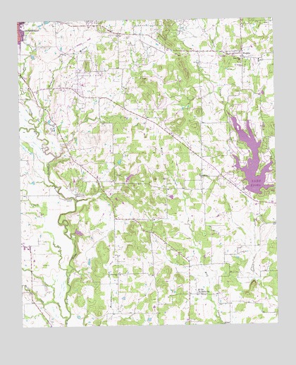Woodbine, TX USGS Topographic Map