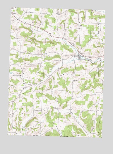 Woodhull, NY USGS Topographic Map