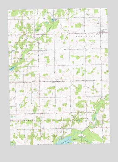 Woodland, MI USGS Topographic Map
