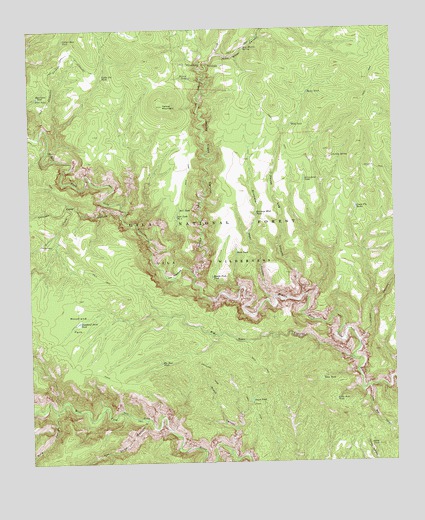 Woodland Park, NM USGS Topographic Map