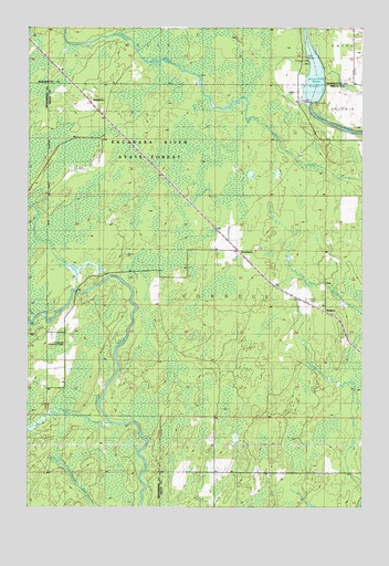 Woodlawn, MI USGS Topographic Map