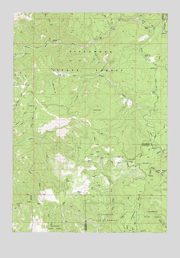Woods Point, OR USGS Topographic Map