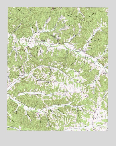 Woolworth, TN USGS Topographic Map