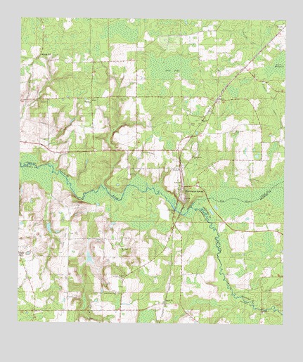Worthington Springs, FL USGS Topographic Map