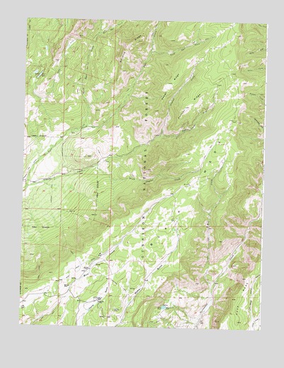 X Lazy F Ranch, CO USGS Topographic Map