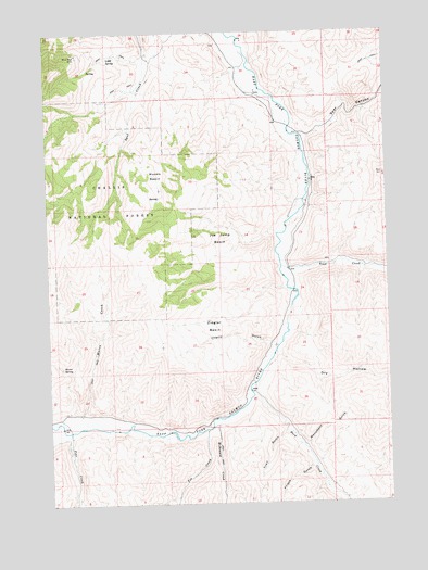 Ziegler Basin, ID USGS Topographic Map