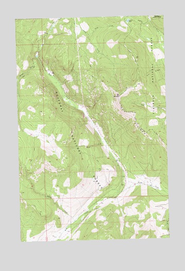 Bowen Lake, MT USGS Topographic Map