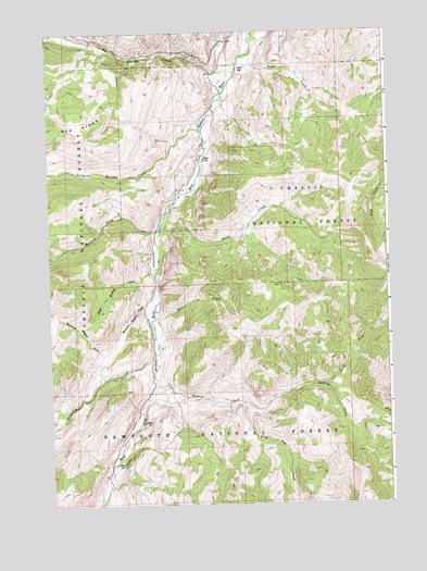 Bowery Creek, ID USGS Topographic Map