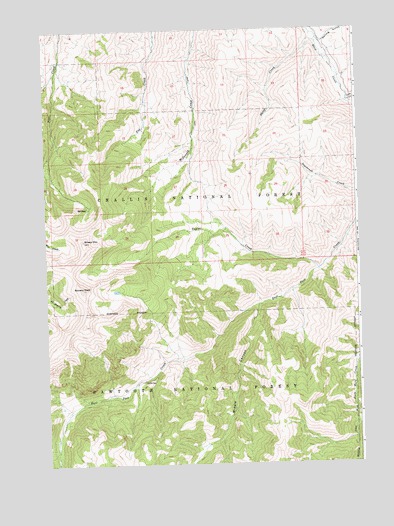 Bowery Peak, ID USGS Topographic Map