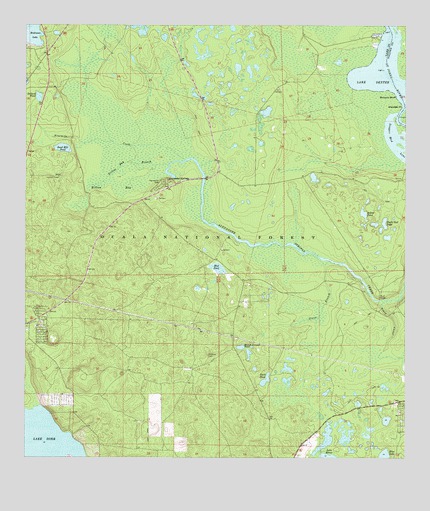 Alexander Springs, FL USGS Topographic Map