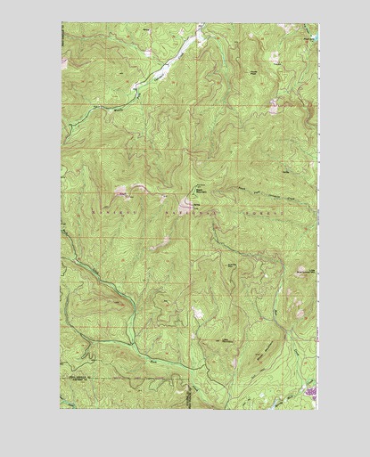 Boyer Mountain, WA USGS Topographic Map