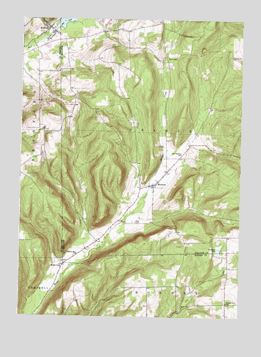 Bradford, NY USGS Topographic Map
