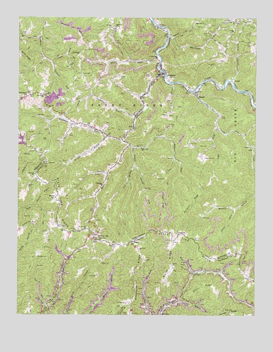 Bradshaw, WV USGS Topographic Map