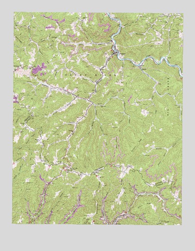 Bradshaw, WV USGS Topographic Map