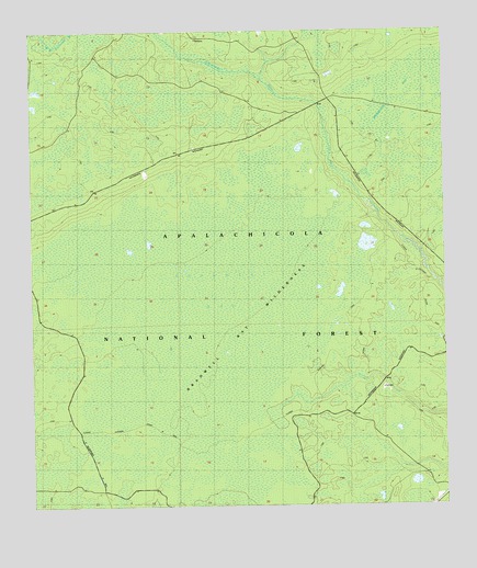 Bradwell Bay, FL USGS Topographic Map