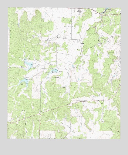 Brady SW, TX USGS Topographic Map
