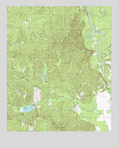 Bragg City, AR USGS Topographic Map