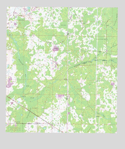 Branchborough, FL USGS Topographic Map