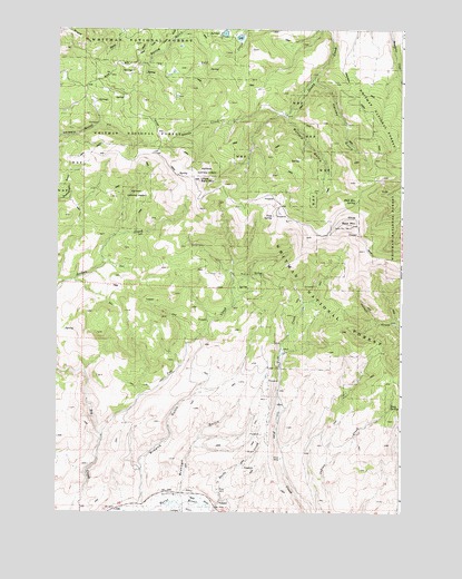 Brannan Gulch, OR USGS Topographic Map