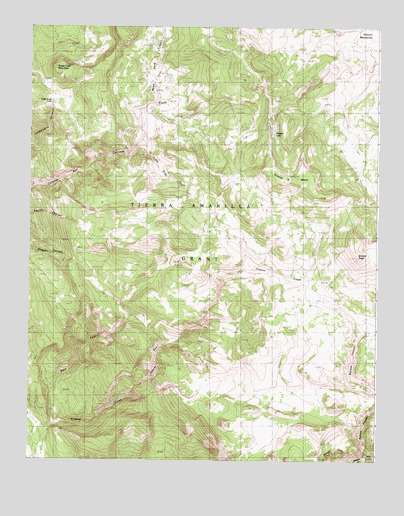Brazos Peak, NM USGS Topographic Map